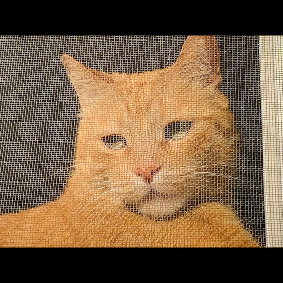 odoggr
